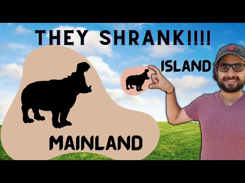 Insular Dwarfism | Why some animals shrink on islands